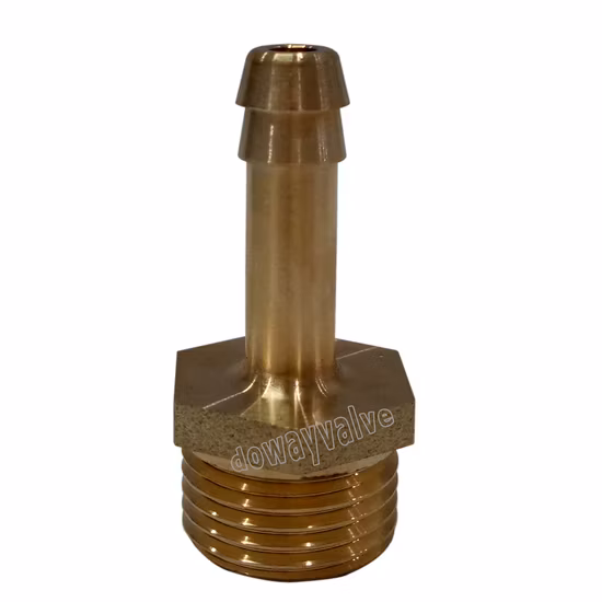 Acoplamento de mangueira reta de latão polido