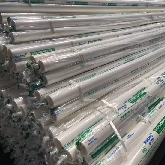 Tubo PPR de qualidade superior/PPR/PVC/CPVC /Tubo de água quente Pph Pn16 20